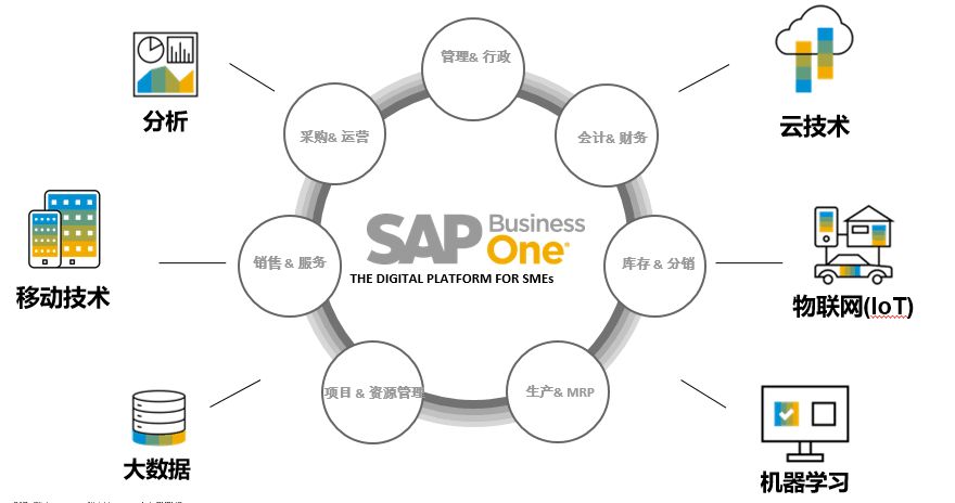 為何選擇SAP,選擇什么ERP好,ERP公司,SAP產品,ERP區別,SAP HANA,ERP哪家強