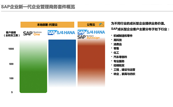 SAP云ERP,SAP云解決方案,SAP公有云產品,SAP S/4HANA Cloud私有云版本,RISE with SAP解決方案包