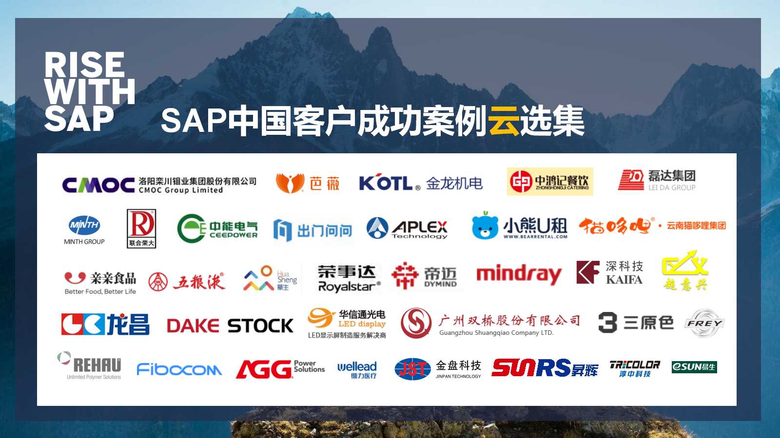 SAP ERP 公有云