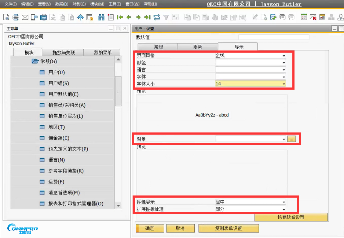 SAP B1操作教程