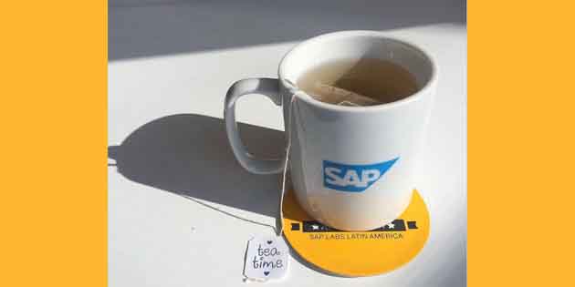 SAP ERP系統實施流程知識學習