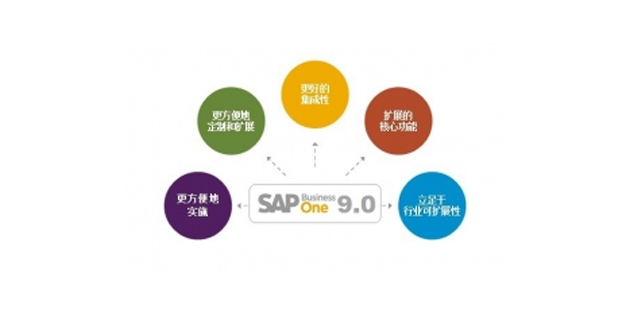 SAP Business One: 未來的研發路線圖