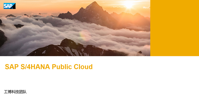 SAP S/4HANA Cloud Public Edition 方案簡介