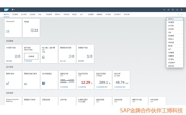 SAP S/4HANA Cloud模塊