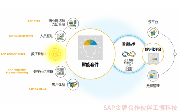 創業版IPO，企業上市，成長型企業融資上市，SAP智能云ERP，云ERP系統