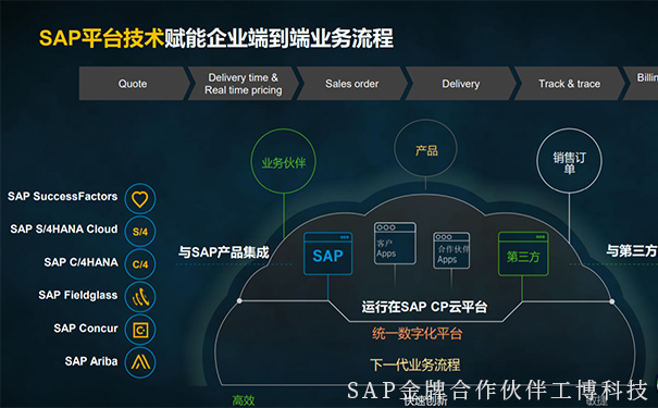 企業出海,企業數字化,SAP智慧云ERP,云ERP系統,SAP云平臺