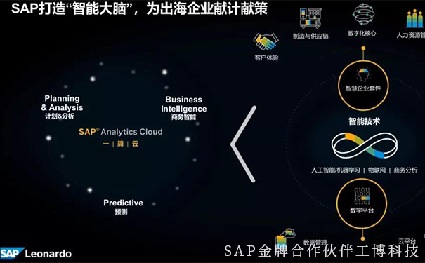 企業出海,企業數字化,SAP智慧云ERP,云ERP系統,SAP云平臺