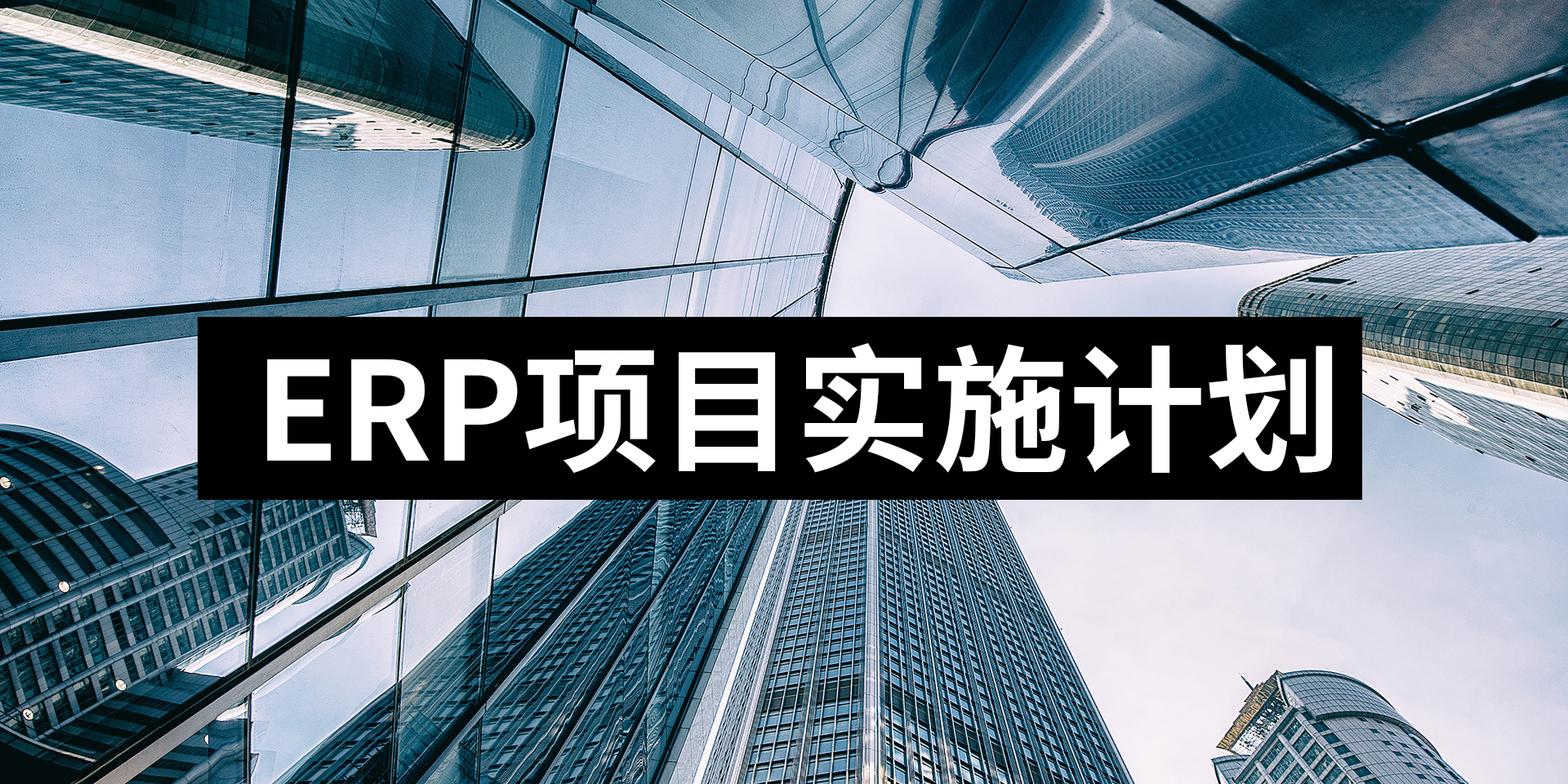 ERP實施項目計劃指南